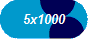 5x1000