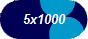 5x1000